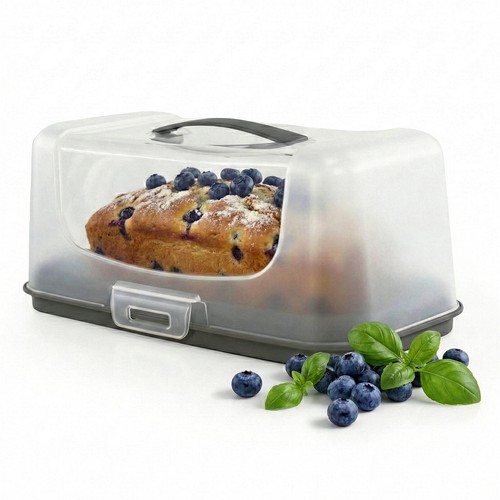 Rectangular cake carrier box - cake,